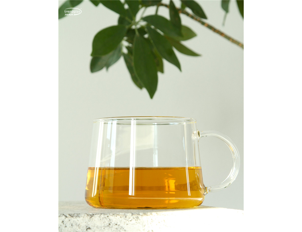 STEKLENA SKODELICA TRENDGLAS CONUM 0,45L